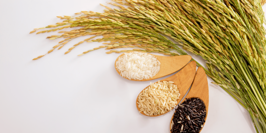 About us – KG Rice